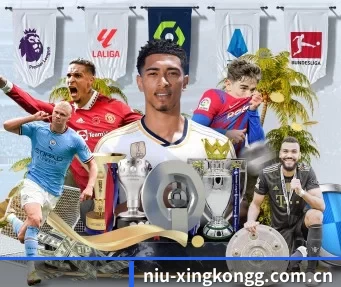 niu-xingkongg.com.cn APP